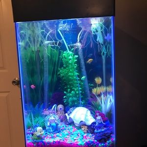 Meet your Posher, Bess